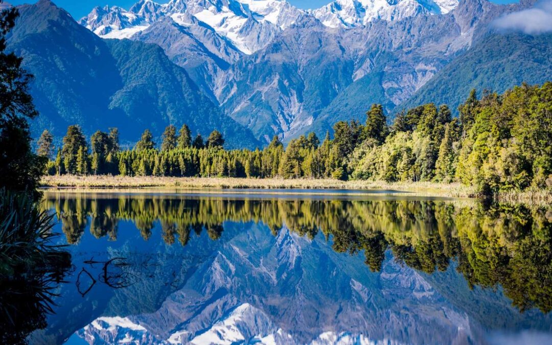 Submission on the Planning Bill and the Natural Environment Bill