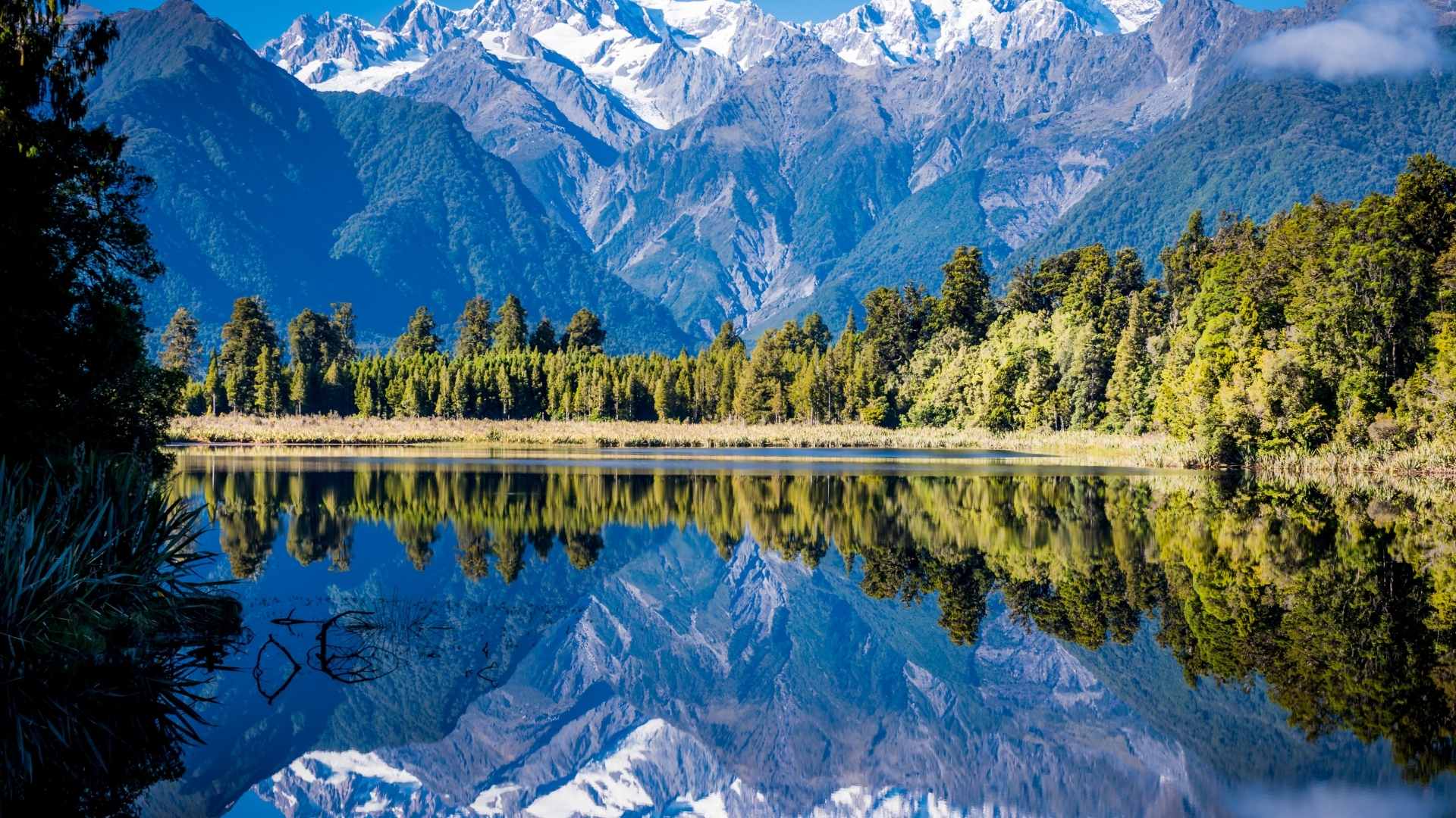 Submission on the Planning Bill and the Natural Environment Bill